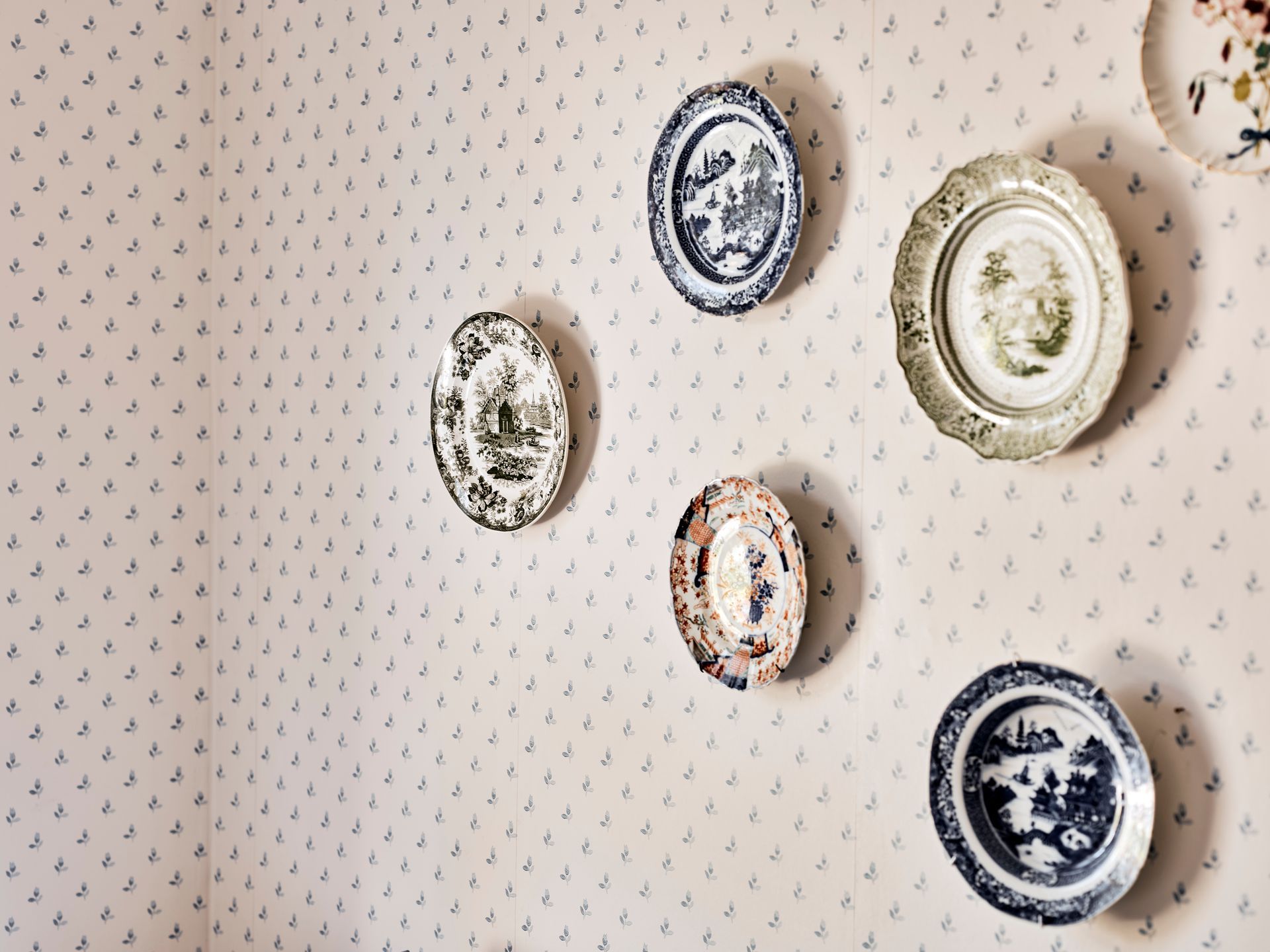 Collection of antique blue-and-white and green plates hung on sprigged wallpaper